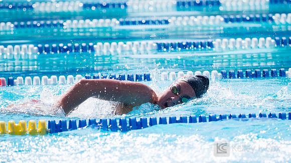 CSUEB Swim