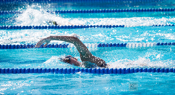 CSUEB Swim