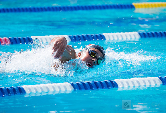 CSUEB Swim