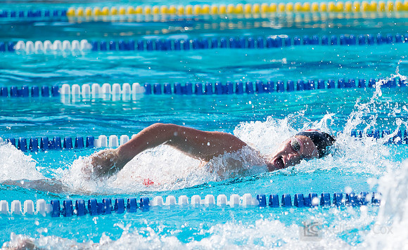CSUEB Swim