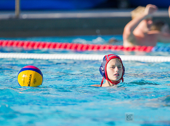 12B TPC Sharks v Capital DC