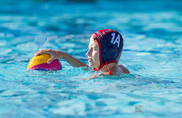 12B TPC Sharks v Capital DC