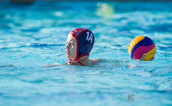 12B TPC Sharks v Capital DC