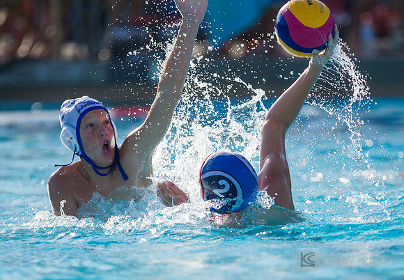 12B TPC Sharks v Capital DC