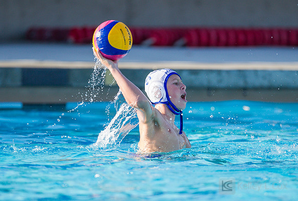 12B TPC Sharks v Capital DC