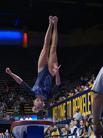 Casey Brown