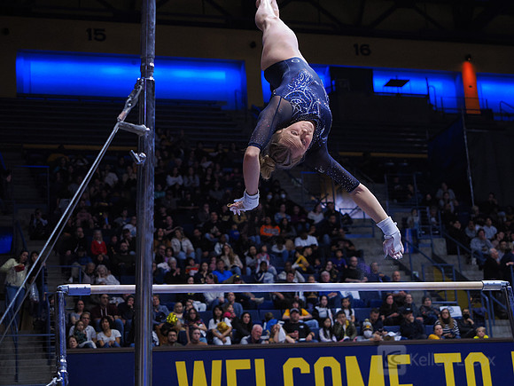 Casey Brown
