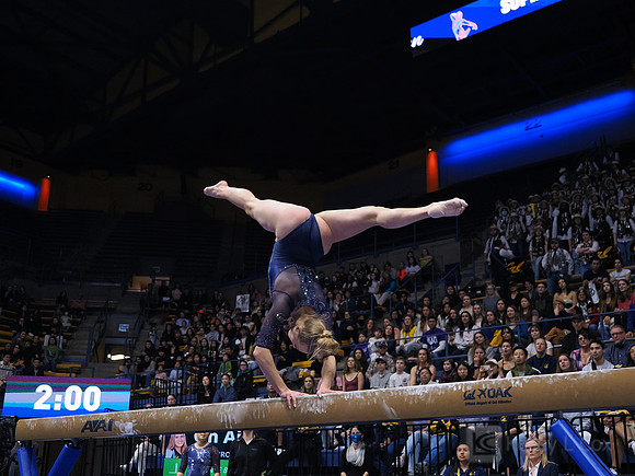 Casey Brown