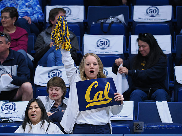 Fans