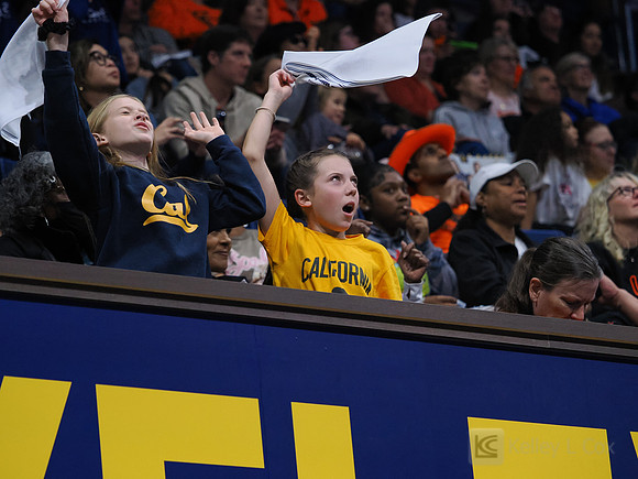 Fans