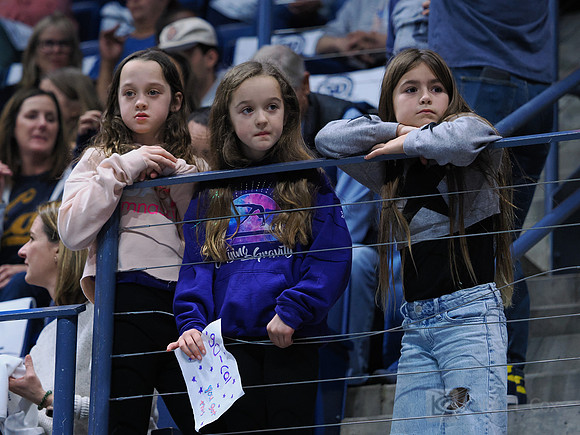 Fans