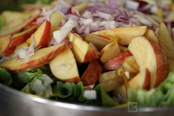 Out of the Box - Sprouts Cooking Club