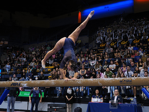 Maddie Williams