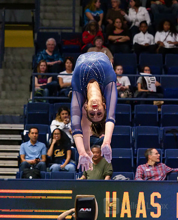 Sofie Seilnacht