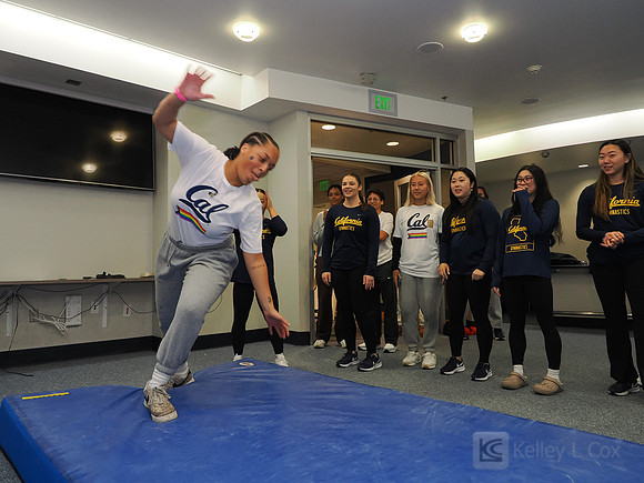 Go Girls Go Bears Go Play