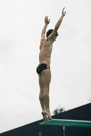Cal Men's Swimming and Diving vs Stanford