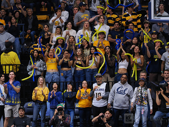 Fans