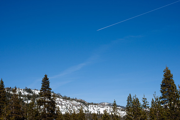 Truckee
