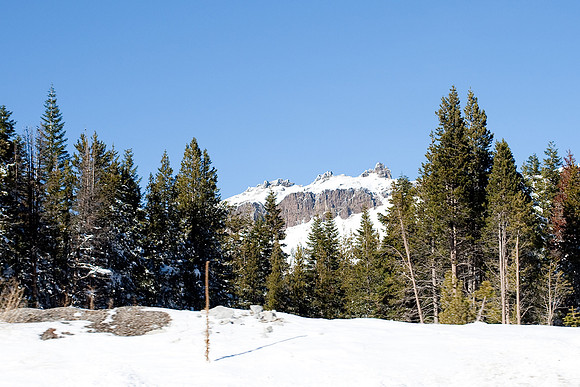 Truckee