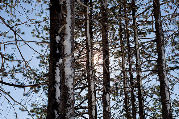 Truckee
