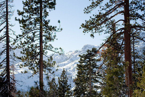 Truckee