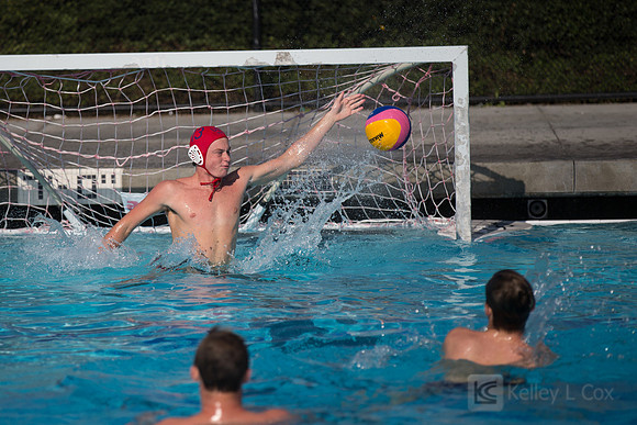 USAWP: Mens National Team