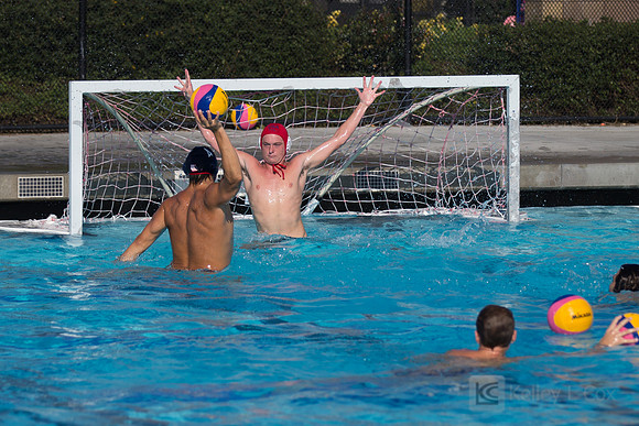 USAWP: Mens National Team