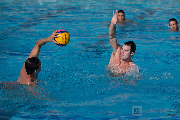 USAWP: Mens National Team