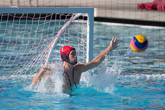 USAWP: Mens National Team