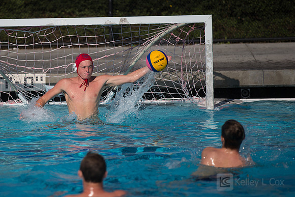 USAWP: Mens National Team