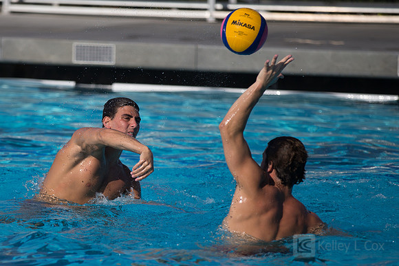 USAWP: Mens National Team
