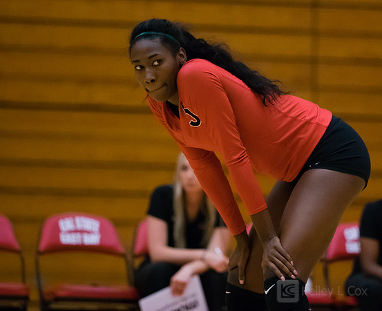 CSUEB Volleyball v Holy Names