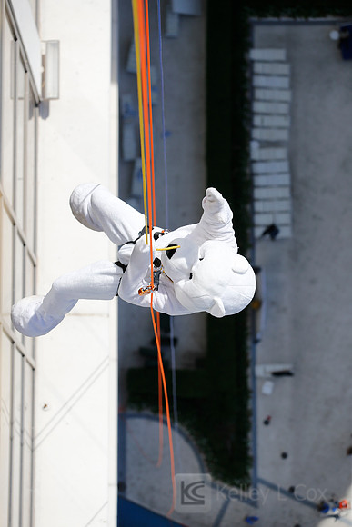 SONV: Planet Hollywood Rappel