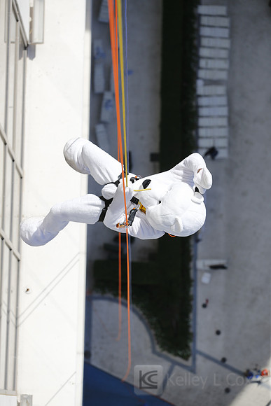 SONV: Planet Hollywood Rappel