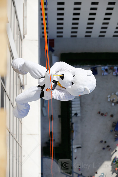 SONV: Planet Hollywood Rappel