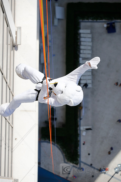 SONV: Planet Hollywood Rappel