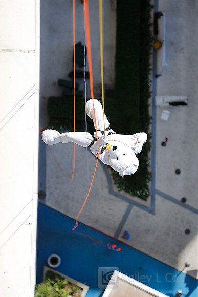 SONV: Planet Hollywood Rappel