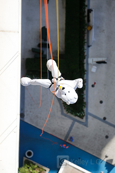 SONV: Planet Hollywood Rappel