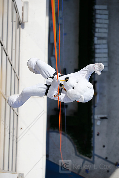 SONV: Planet Hollywood Rappel