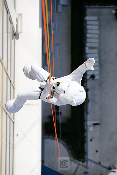 SONV: Planet Hollywood Rappel