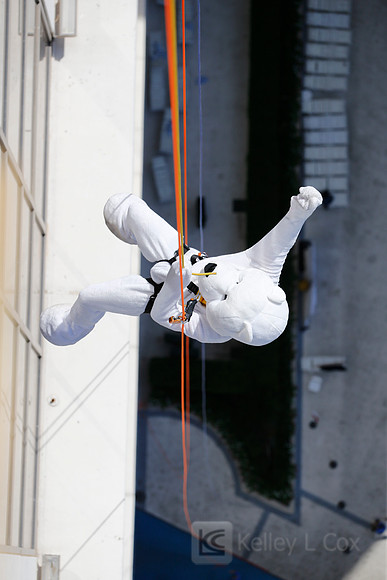 SONV: Planet Hollywood Rappel