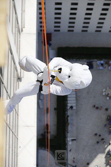 SONV: Planet Hollywood Rappel