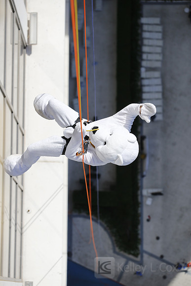 SONV: Planet Hollywood Rappel
