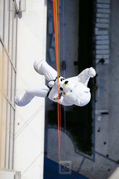 SONV: Planet Hollywood Rappel