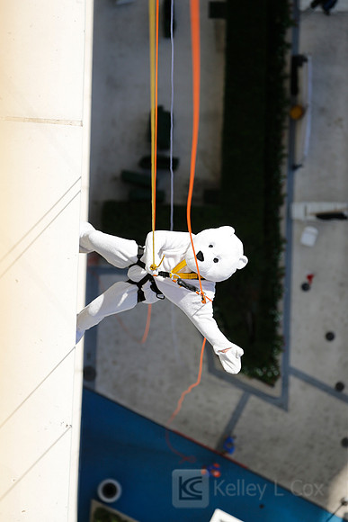 SONV: Planet Hollywood Rappel