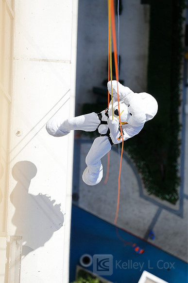 SONV: Planet Hollywood Rappel