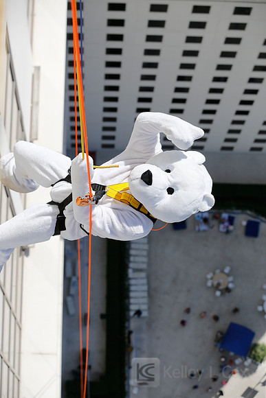SONV: Planet Hollywood Rappel