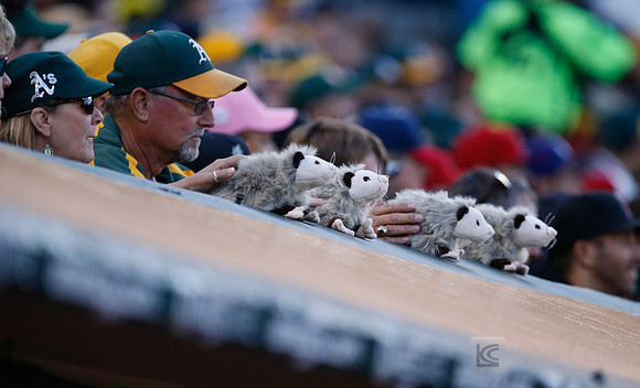 MLB: Los Angeles Angels at Oakland Athletics