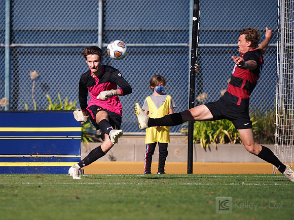 Chris Gustini (1)
