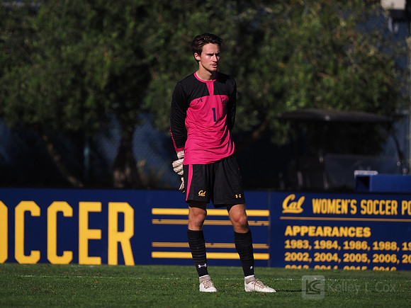 Chris Gustini (1)